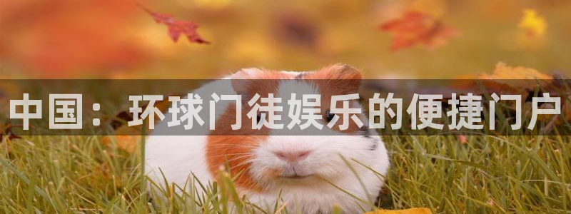 多多28g凯捷平台注册链接：中国：环球门徒娱乐的便捷门户