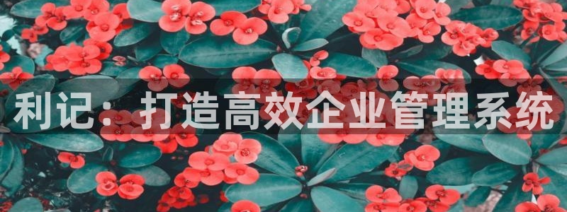 多多28g平台：利记：打造高效企业管理系统