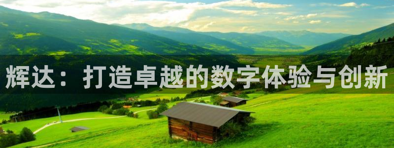 多多28g现在优惠多少：辉达：打造卓越的数字体验与创新