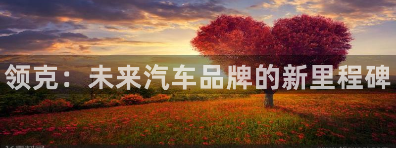 多多28g登录：领克：未来汽车品牌的新里程碑