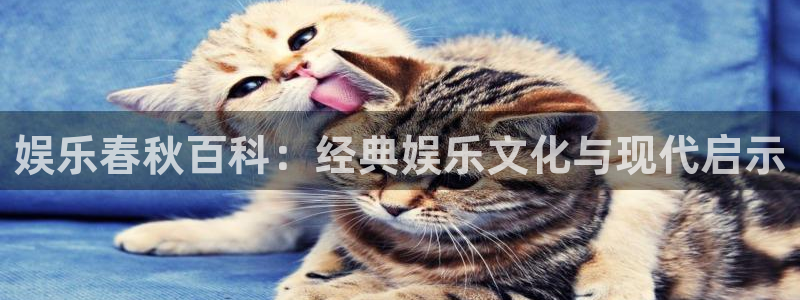 多多28g体育平台登录入口：娱乐春秋百科：经典娱乐文化与现代启示