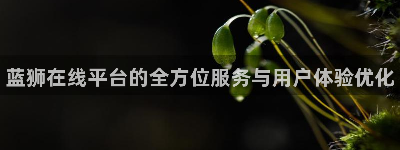 多多28g环保：蓝狮在线平台的全方位服务与用户体验优化