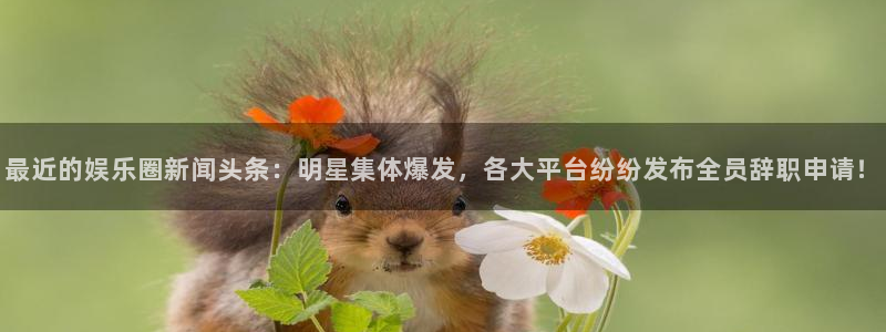 多多28g体育凯捷平台招商：最近的娱乐圈新闻头条：明星集体爆发，各大平台纷纷发布
