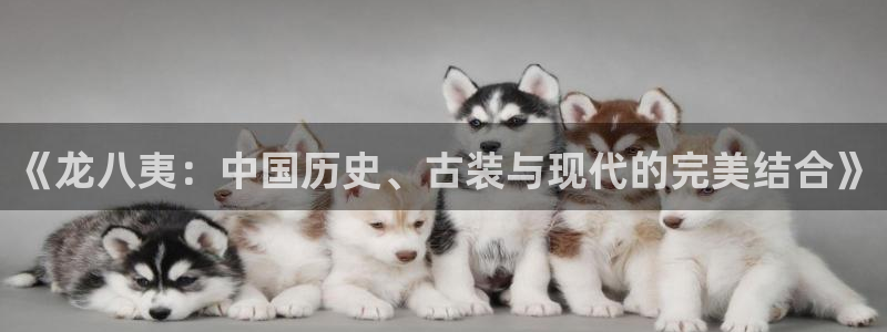 多多28g4：《龙八夷：中国历史、古装与现代的完美结合》