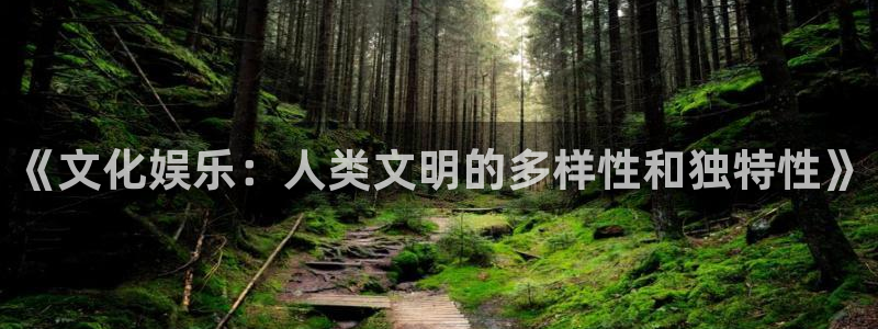 多多28g平台开户链接：《文化娱乐：人类文明的多样性和独特性》