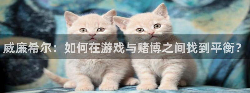 多多28g体育代理申请流程：威廉希尔：如何在游戏与赌博之间找到平衡？