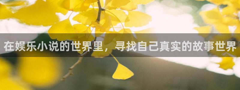 多多28g体育游戏：在娱乐小说的世界里，寻找自己真实的故事世界