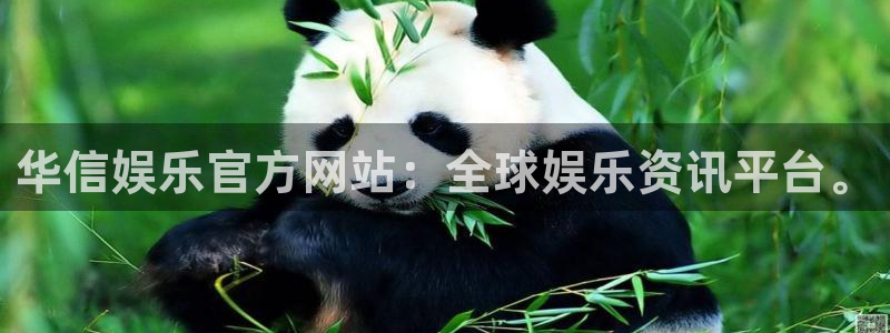 多多28g3代理：华信娱乐官方网站：全球娱乐资讯平台。