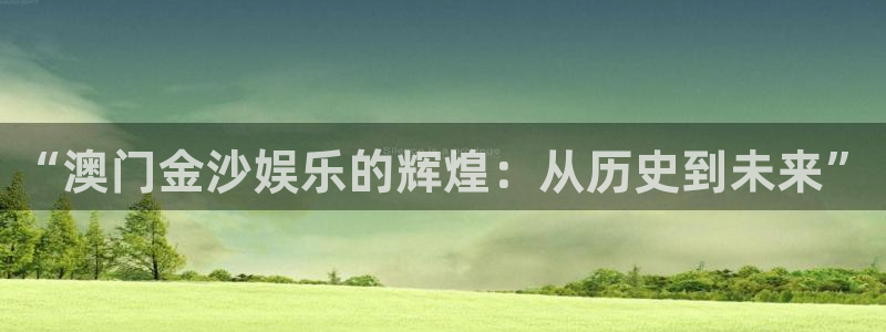 多多28g体育1招商：“澳门金沙娱乐的辉煌：从历史到未来”