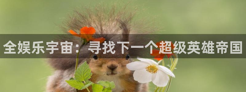 多多28g环保：全娱乐宇宙：寻找下一个超级英雄帝国