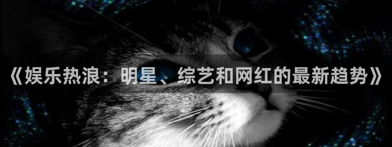 多多28g登录界面入口：《娱乐热浪：明星、综艺和网红的最新趋势》