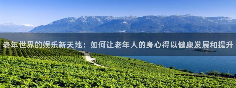 多多28g平台招商：老年世界的娱乐新天地：如何让老年人的身心得以健康发展和提升