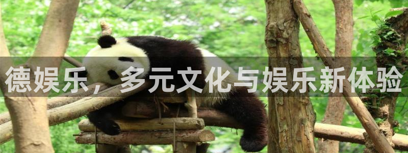 上海多多28g汽车电子有限公司：德娱乐，多元文化与娱乐新体验