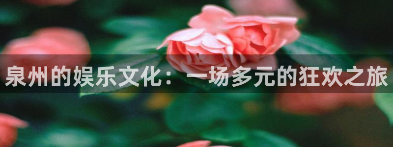 多多28g体育网页版入口：泉州的娱乐文化：一场多元的狂欢之旅