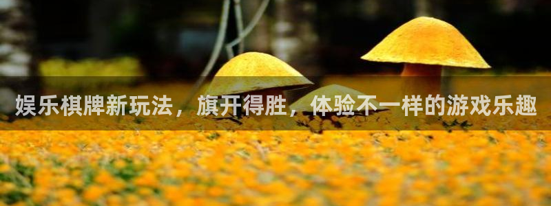 多多28g体育老板是谁：娱乐棋牌新玩法，旗开得胜，体验不一样的游戏乐趣