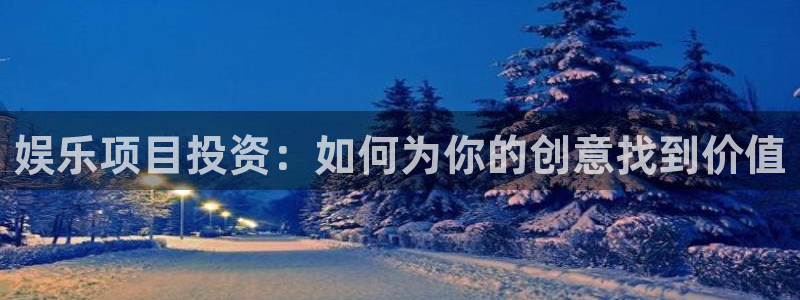 多多28g集团股票：娱乐项目投资：如何为你的创意找到价值