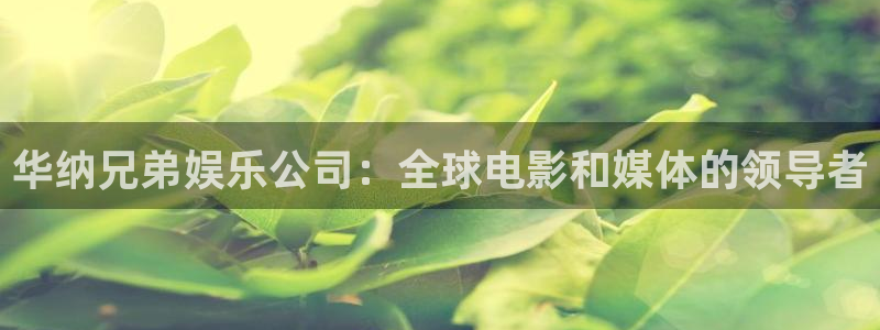 多多28g平台官网：华纳兄弟娱乐公司：全球电影和媒体的领导者