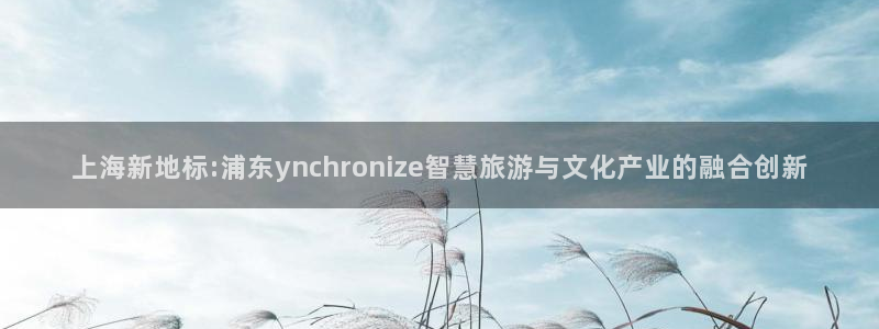 佛山市南海多多28g机电仪器有限公司：上海新地标:浦东ynchronize智慧旅