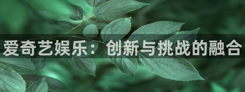 多多28g集团官网：爱奇艺娱乐：创新与挑战的融合