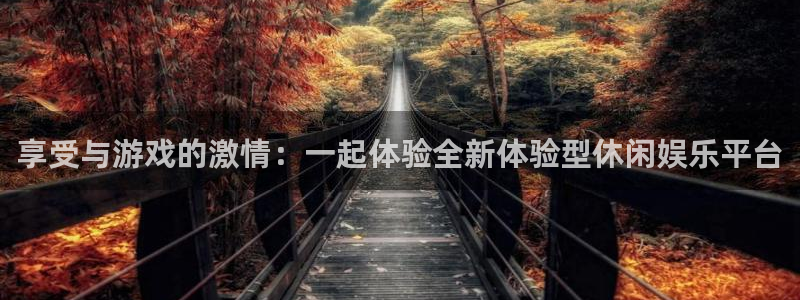 多多28g3登陆：享受与游戏的激情：一起体验全新体验型休闲娱乐平台