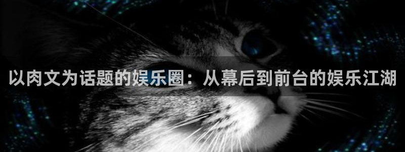 多多28g体育代理：以肉文为话题的娱乐圈：从幕后到前台的娱乐江湖