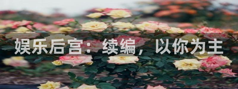 多多28g体育娱乐注册链接：娱乐后宫：续编，以你为主