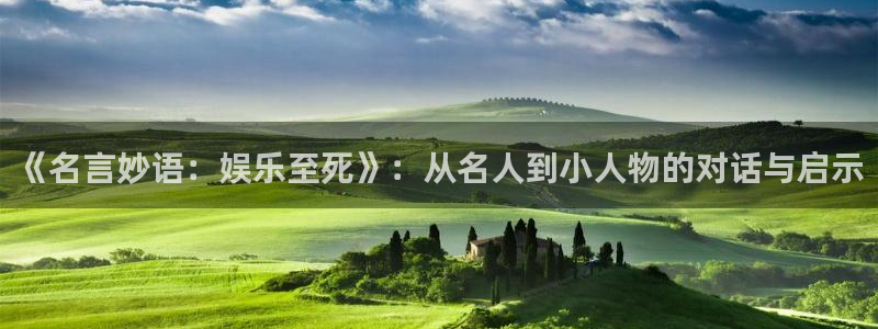 多多28g包怎么样：《名言妙语：娱乐至死》：从名人到小人物的对话与启示